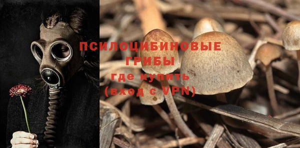 круглые Богданович